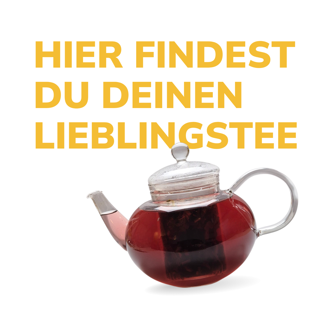 Premium BIO Tee Probier-Bundle mit Thermoskanne & Zubehör